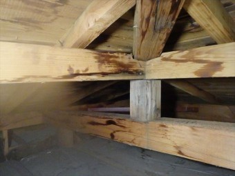 小屋浦雨染み