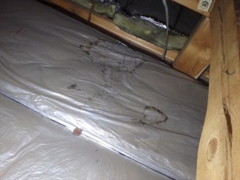 小屋浦断熱材雨染み
