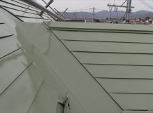 フッ素サンバリアGT