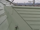 フッ素サンバリアGT
