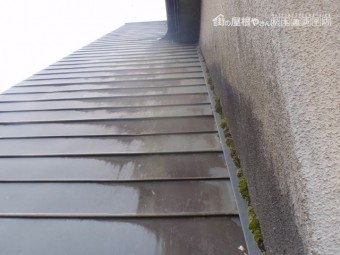 東筑摩郡朝日村西洗馬O邸下見