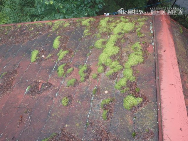 茅野市豊平M邸別荘