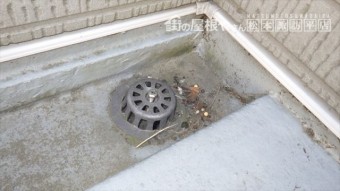 ベランダ防水 排水ドレイン