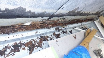 パラペット 雨漏り