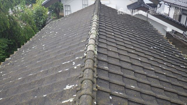 セメント瓦