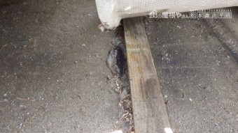 松本市中山屋根葺き替え瓦おろし