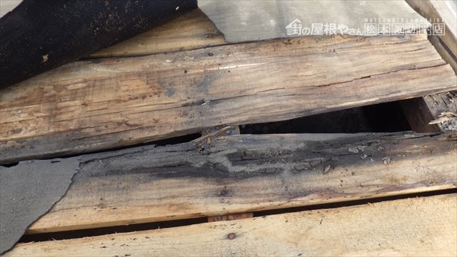 雨漏り