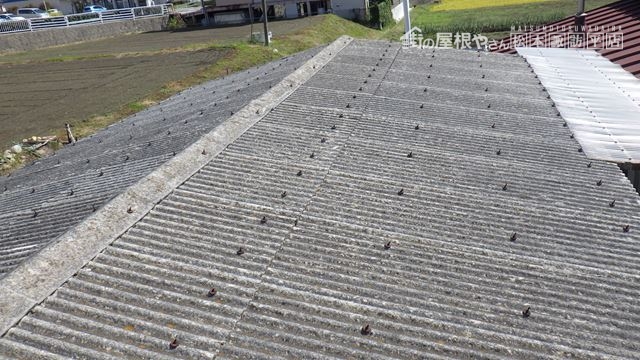 上伊那郡箕輪町I邸物置屋根葺き替え
