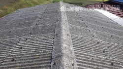 上伊那郡箕輪町I邸物置屋根葺き替え