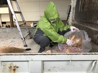 折半ペフ剥がし