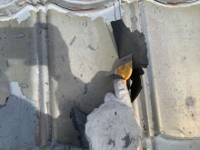 S__2826244_R-columns3