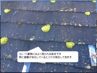 スレート屋根コケの発生
