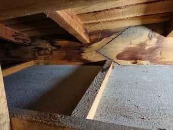 小屋浦雨染み