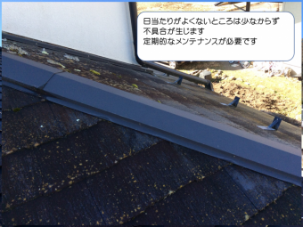 スレート屋根コケの発生