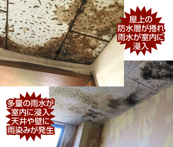 屋上の 防水層が捲れ雨水が室内に浸入し天井や壁に雨染みが発生