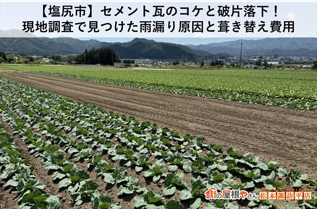 【塩尻市】セメント瓦のコケと破片落下！現地調査で見つけた雨漏り原因と葺き替え費用