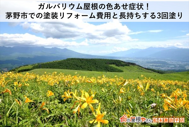 ガルバリウム屋根の色あせ症状！茅野市での塗装リフォーム費用と長持ちする3回塗り