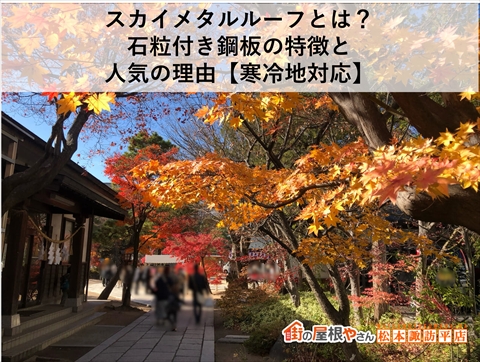 スカイメタルルーフとは？石粒付き鋼板の特徴と人気の理由【寒冷地対応】