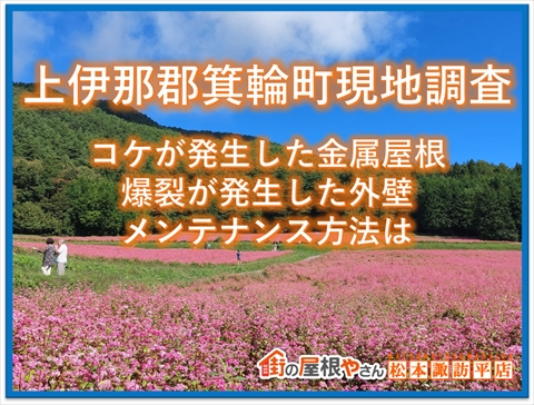 上伊那郡箕輪町現地調査：コケが発生した金属屋根・爆裂が発生した外壁：メンテナンス方法は