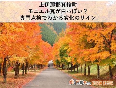 上伊那郡箕輪町｜モニエル瓦が白っぽい？専門点検でわかる劣化のサイン