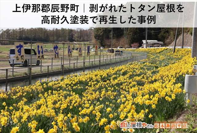 上伊那郡辰野町｜剥がれたトタン屋根を高耐久塗装で再生した事例