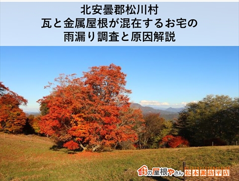 北安曇郡松川村｜瓦と金属屋根が混在するお宅の雨漏り調査と原因解説