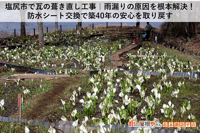 塩尻市で瓦の葺き直し工事｜雨漏りの原因を根本解決！防水シート交換で築40年の安心を取り戻す