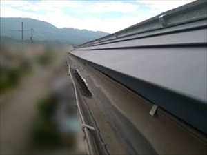 塩尻市で築30年のガルバリウム屋根塗装！もらいサビを防ぐ高耐久シリコン施工事例2