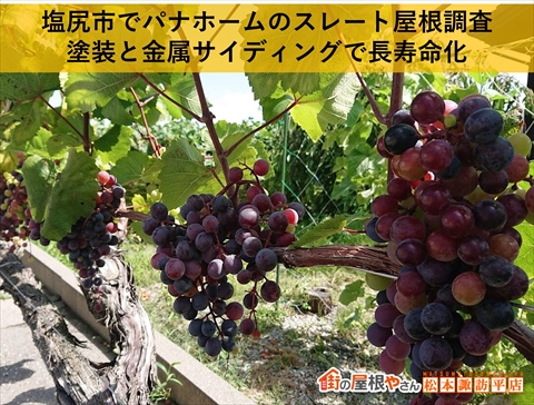 塩尻市でパナホームのスレート屋根調査｜塗装と金属サイディングで長寿命化