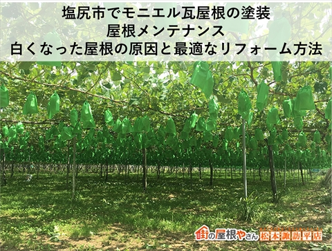塩尻市でモニエル瓦屋根の塗装・屋根メンテナンス｜白くなった屋根の原因と最適なリフォーム方法