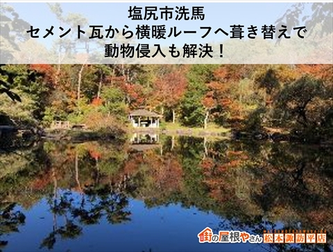 塩尻市洗馬|セメント瓦から横暖ルーフへ葺き替えで動物侵入も解決!