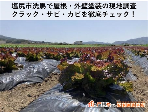 塩尻市洗馬で屋根・外壁塗装の現地調査|クラック・サビ・カビを徹底チェック!