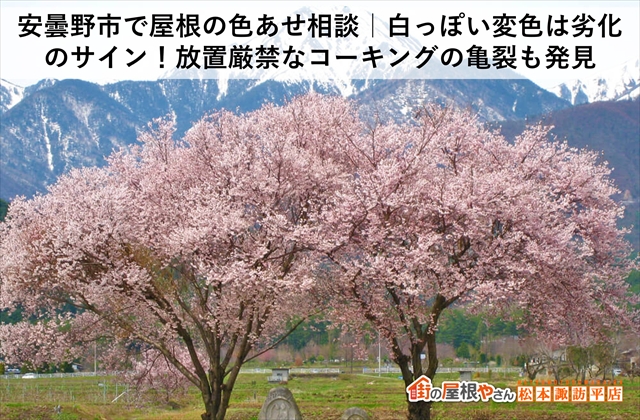 安曇野市で屋根の色あせ相談｜白っぽい変色は劣化のサイン！放置厳禁なコーキングの亀裂も発見