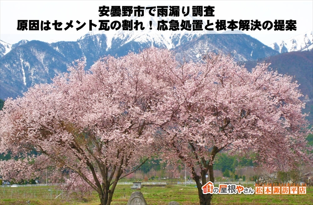 安曇野市で雨漏り調査｜原因はセメント瓦の割れ！応急処置と根本解決の提案
