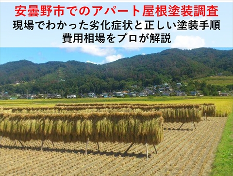安曇野市でのアパート屋根調査｜現場でわかった劣化症状と正しい塗装手順・費用相場をプロが解説