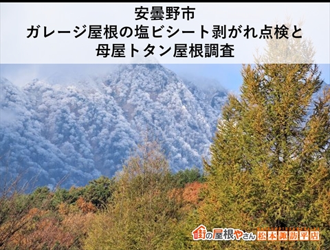 安曇野市｜ガレージ屋根の塩ビシート剥がれ点検と母屋トタン屋根調査