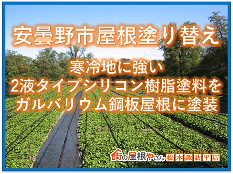 安曇野市屋根塗り替え｜寒冷地に強いシリコン樹脂塗料｜ガルバリウム鋼板屋根に塗装