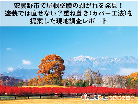 安曇野市で屋根塗膜の剥がれを発見！塗装では直せない？重ね葺き（カバー工法）を提案した現地調査レポート