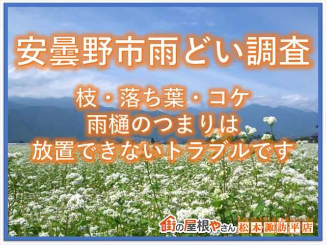 安曇野市雨どい調査：枝・落ち葉・コケ：雨どいのつまりは放置できないトラブルです