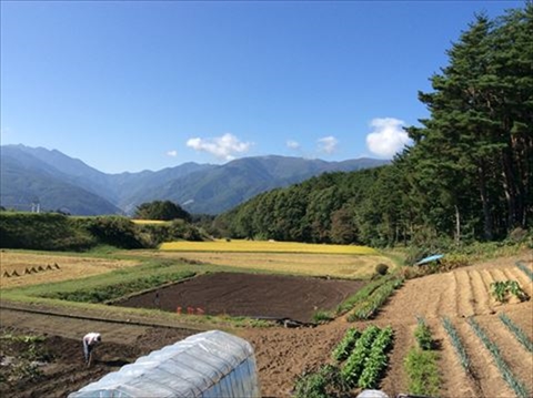 富士見屋根塗装