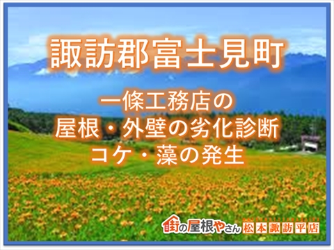 諏訪郡富士見町：一条工務店のお家の屋根・外壁劣化診断：コケ・藻の発生