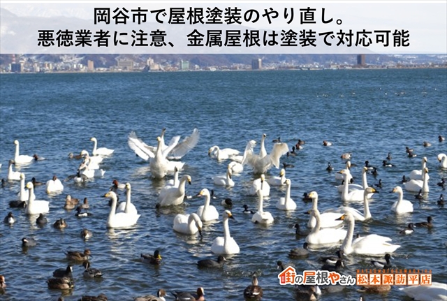 岡谷市で屋根塗装のやり直し　 悪徳業者に注意、金属屋根は塗装で対応可能