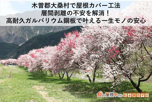 木曽郡大桑村で屋根カバー工法｜層間剥離の不安を解消！高耐久ガルバリウム鋼板で叶える一生モノの安心