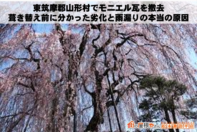 東筑摩郡山形村でモニエル瓦を撤去：葺き替え前に分かった劣化と雨漏りの本当の原因