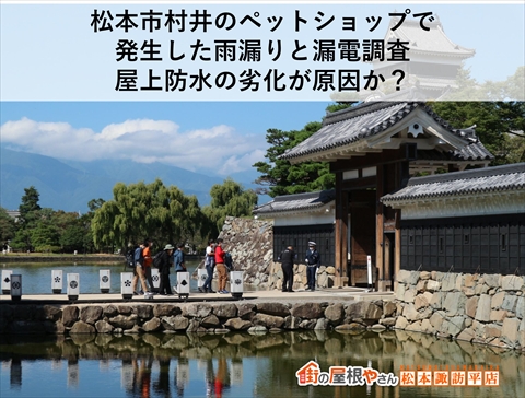 松本市村井のペットショップで発生した雨漏りと漏電調査｜屋上防水の劣化が原因か？