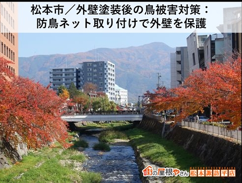 松本市／外壁塗装後の鳥被害対策：防鳥ネット取り付けで外壁を保護