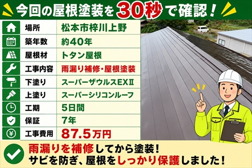 松本市梓川｜雨漏りを補修してトタン屋根を塗装した施工事例1