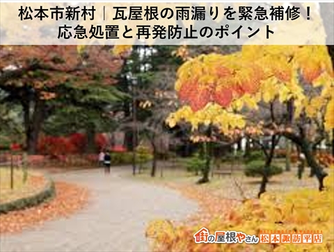 松本市新村|瓦屋根の雨漏りを緊急補修!応急処置と再発防止のポイント