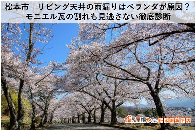 松本市｜リビング天井の雨漏りはベランダが原因？モニエル瓦の割れも見逃さない徹底診断