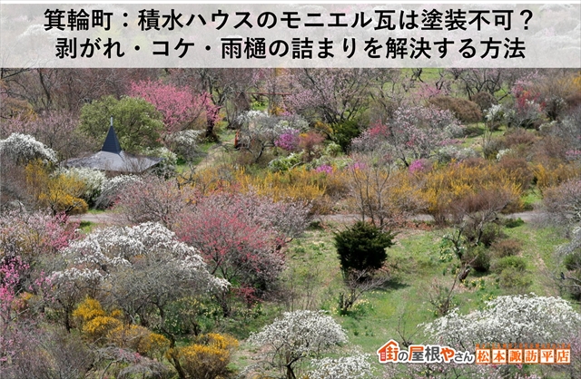 箕輪町：積水ハウスのモニエル瓦は塗装不可？ 剥がれ・コケ・雨樋の詰まりを解決する方法